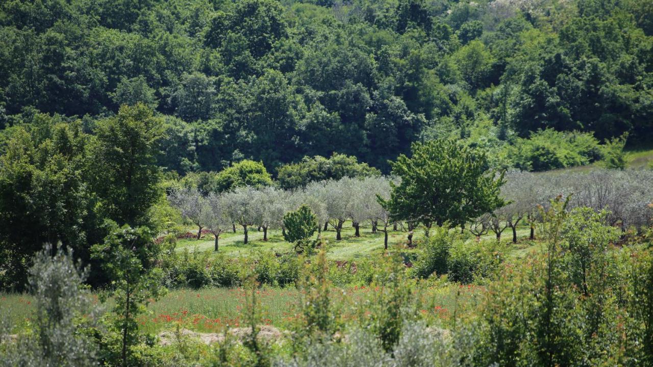 Casa Conte Istria Villa Kanfanar Dış mekan fotoğraf