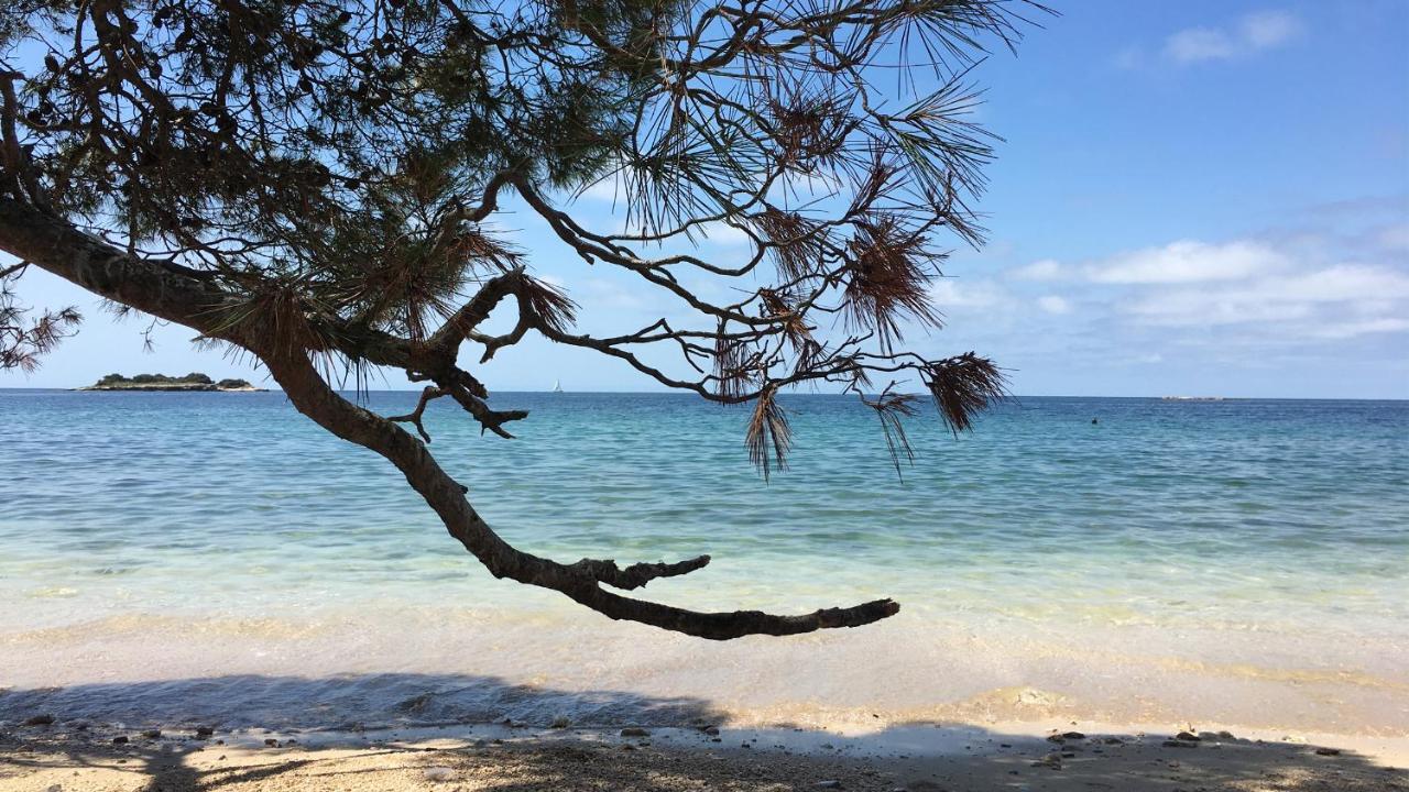 Casa Conte Istria Villa Kanfanar Dış mekan fotoğraf