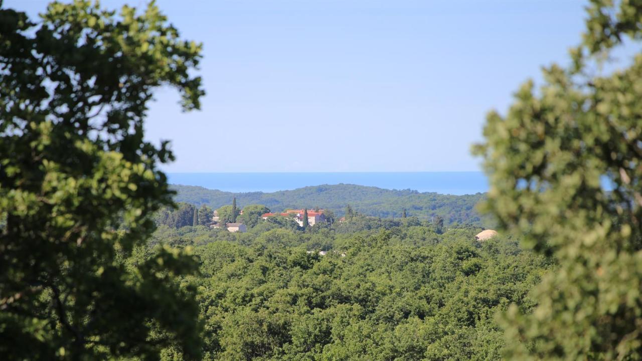 Casa Conte Istria Villa Kanfanar Dış mekan fotoğraf